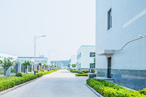 自公司成立以來，以振興和發(fā)展我國(guó)貴金屬催化劑和催化工藝為己任，已研究、開發(fā)出了活性炭負(fù)載，氧化物負(fù)載，有機(jī)物負(fù)載貴金屬催化劑，均相催化劑，手性催化劑，專用催化劑等上百種催化劑，以及一百多種催化合成/反應(yīng)工藝技術(shù)。